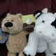 Illustration for article titled TEDDY BEAR TOSS TIME!!!!